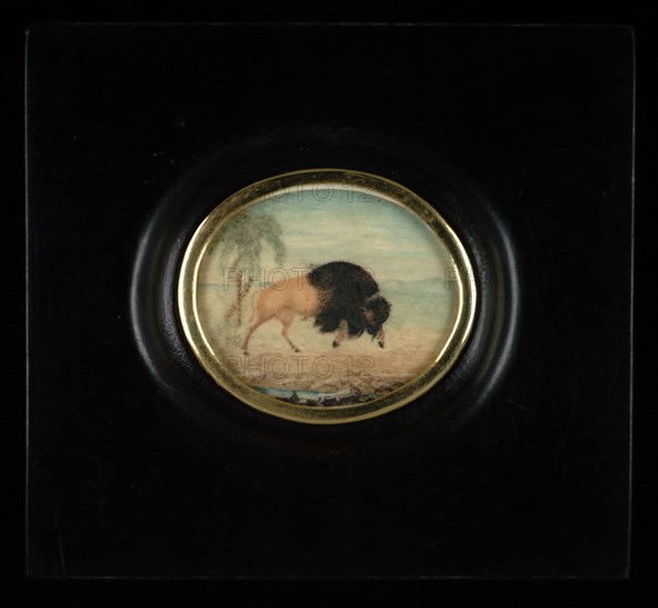 Bisonte con palmeras (Bison with Palm Trees), ca. 1825-1850. Attributed to Goyena family.