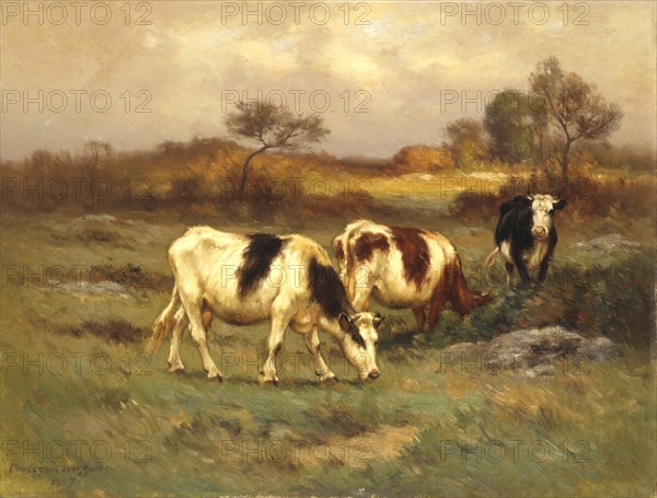 The Pasture Lot, 1907.