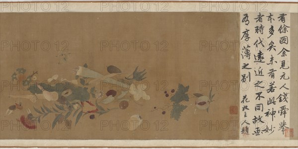 Flowers, fruit, shells, and insects, 1368-1644. Formerly attributed to Xu Xi.