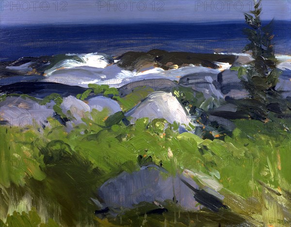 Vine Clad Shore--Monhegan Island, 1913.