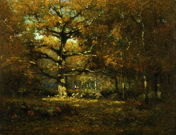 Connecticut Woods, 1899.