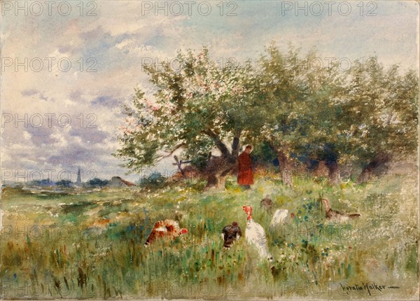 Watching the Turkeys, late 19th-early 20th century.