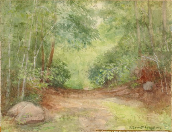 Untitled (Forest Scene), 1902.