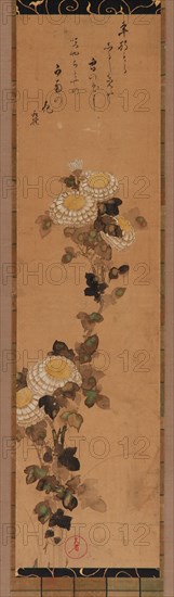 Chrysanthemums, 18th-19th century.