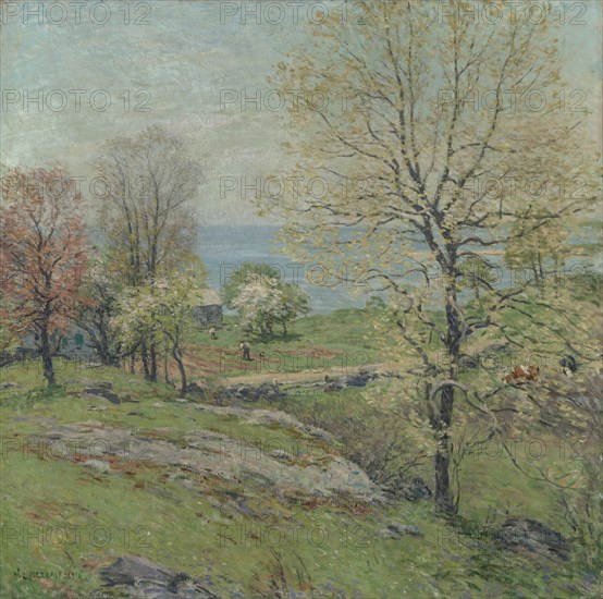 The Budding Oak, 1916.