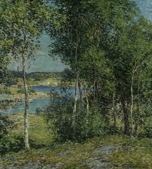 A Family of Birches, 1907.