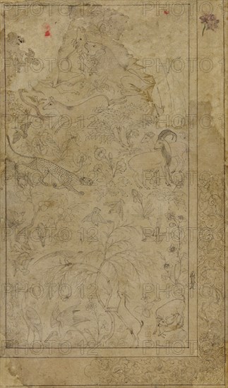 Drawing of animals and plants, early 17th century.
