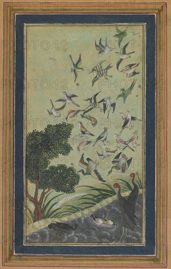 Birds at Baran, possibly from the Babur-nama, late 16th century.