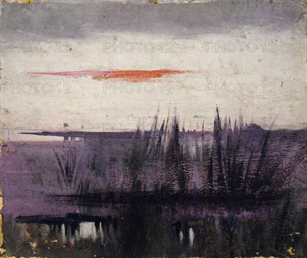 The Sky Simulated by White Flamingoes study for book, Concealing Coloration in the Animal Kingdom, ca. 1905-1909.