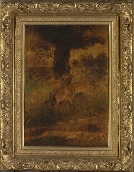 A Stag and Two Does, ca. 1870s.