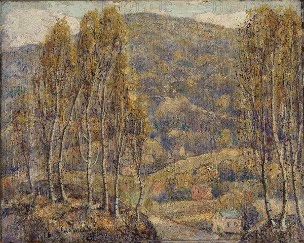 Beeches, n.d.