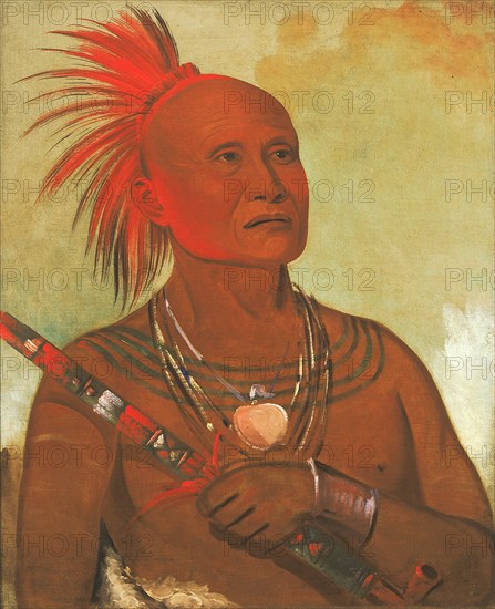 Pam-a-hó, The Swimmer, One of Black Hawk's Warriors, 1832.