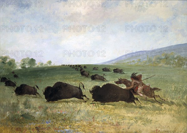 An Osage Indian Lancing a Buffalo, 1846-1848.