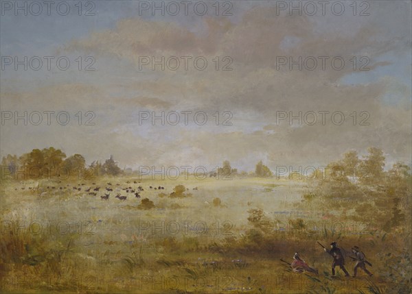 Elk Grazing on an Autumn Prairie, 1846-1848.