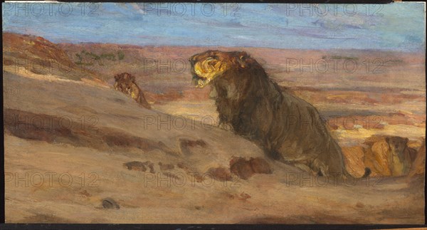 Lions in the Desert, ca. 1897-1900.