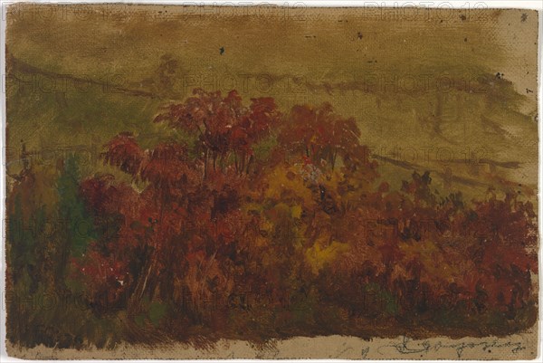 Untitled, 1876.