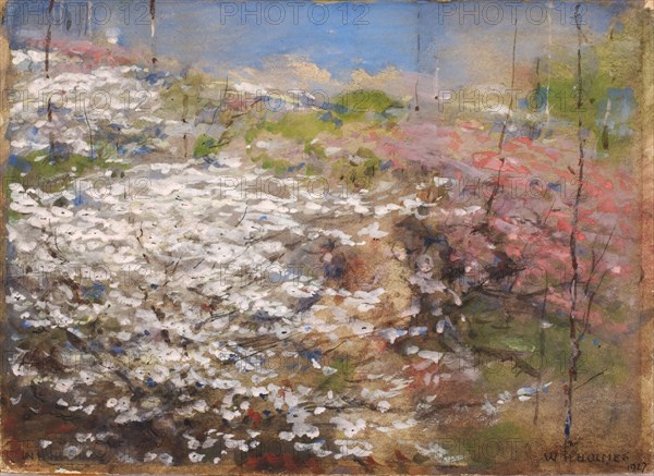 Field of Blossoms, 1927.