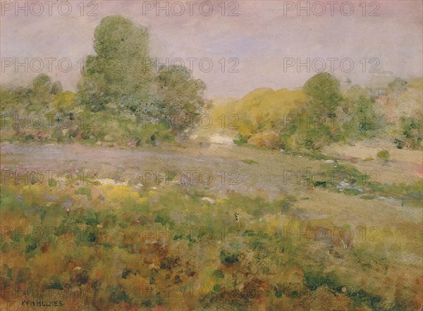 Field of Varicolored Grasses in Late Summer (In the Virginia Hills), n.d.