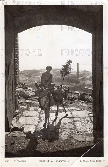 Boy with donkey, Malaga Castle, 1932. Child with water jars in Andalucia, Spain.