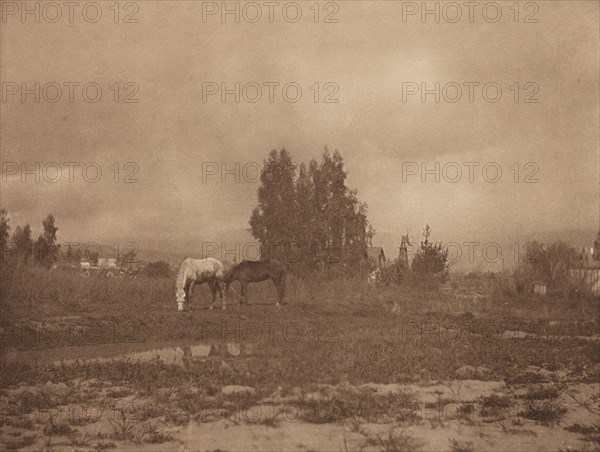 Pasadena Landscape, 1899.