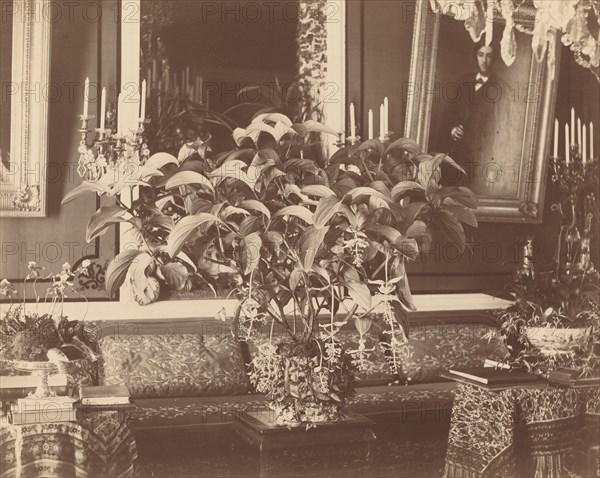 Interior, 1860s.