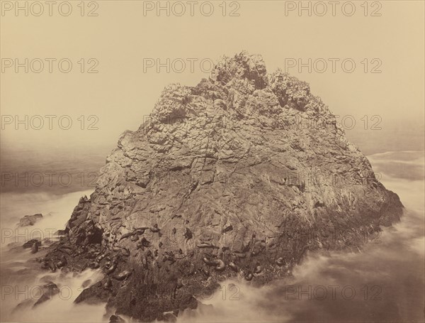 Sugar Loaf Island, Farallons, 1868/1869.