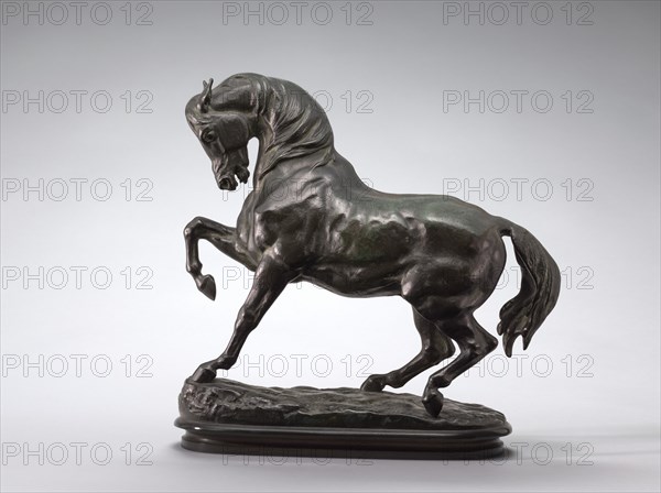 Turkish Horse, Right Foreleg Raised, model n.d., cast c. 1857/1873.