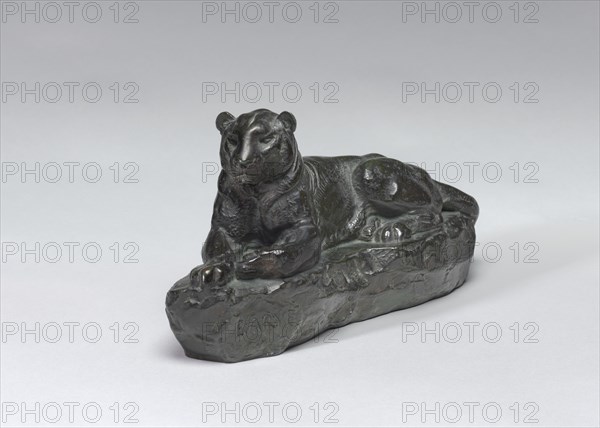 Panther of India, model n.d., cast c. 1860/1873.