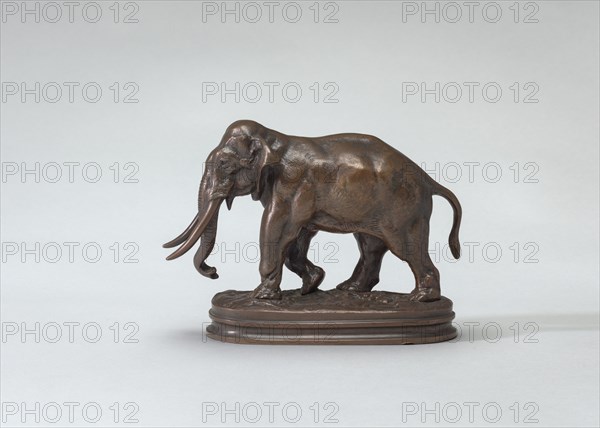 Asian Elephant Walking, model c. 1830s.