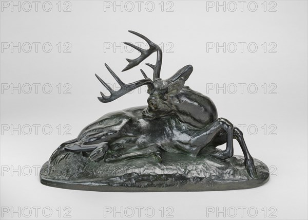 Virginia Deer Reclining, model 1837, cast by 1873.