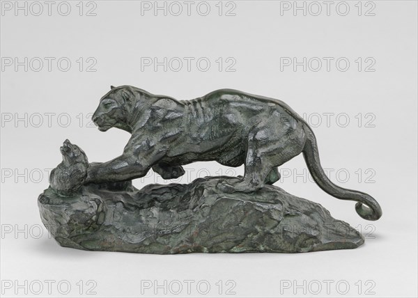 Panther Surprising a Civet Cat, model n.d., cast 1857/1873.