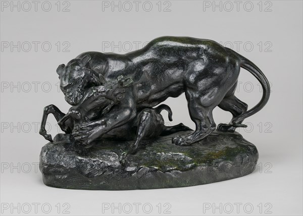 Tiger Attacking an Antelope, model n.d., cast c. 1862/1873.