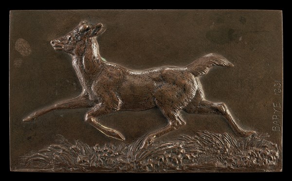 Virginia Deer, 1831.