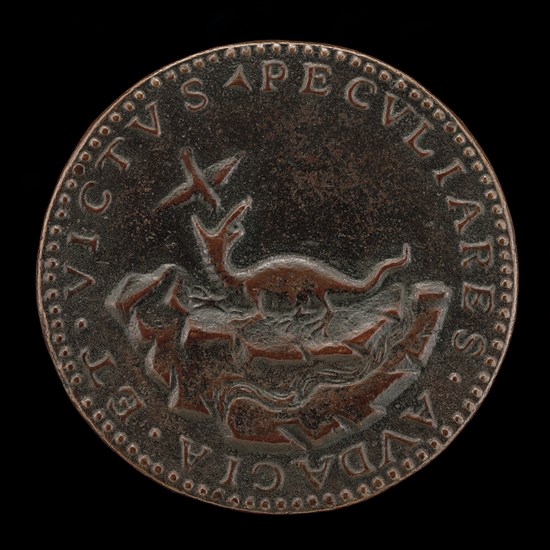 Crocodile and Trochilus [reverse].