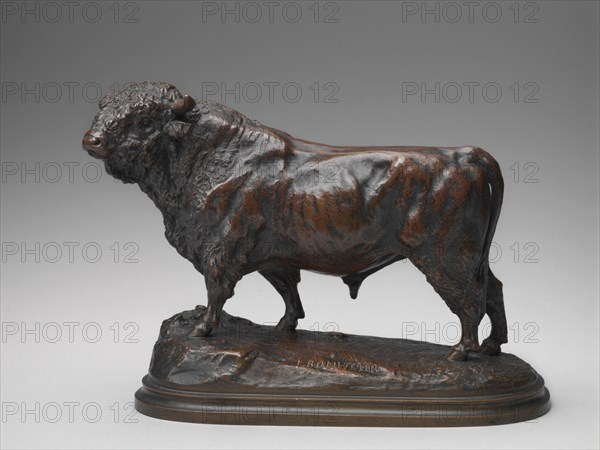 Standing Angus Bull, model second half 19th century.