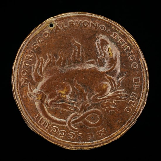 Salamander in Flames [reverse], 1504.