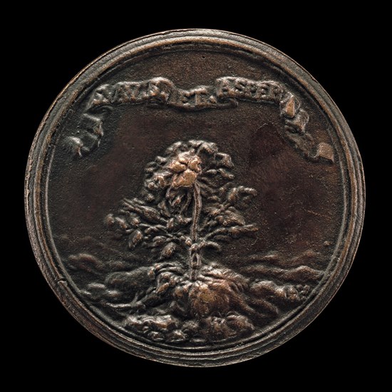 Rosebush Growing out of a Rocky Terrain [reverse], c. 1655/1675.