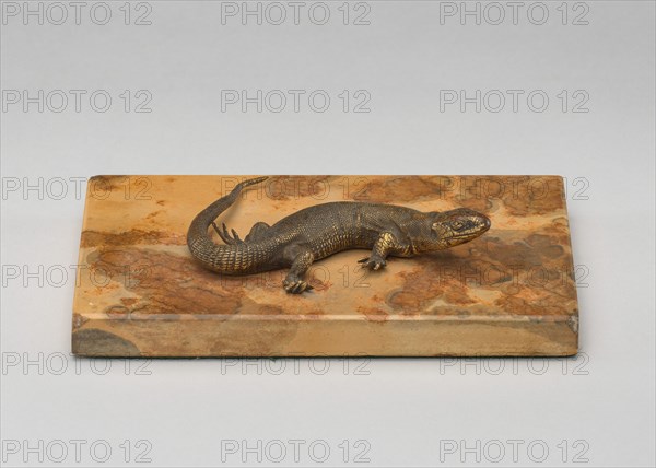 Life Cast of a Lizard, probably 19th century.