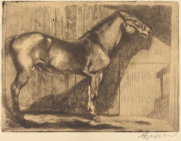 Pony (Le poney), 1892.
