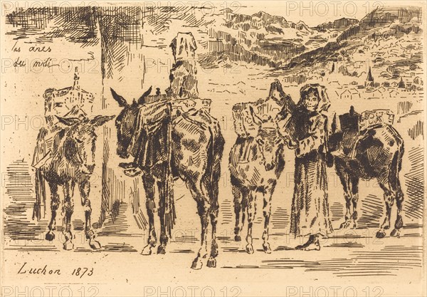 Feuilles d'Anes du Midi, 1873.