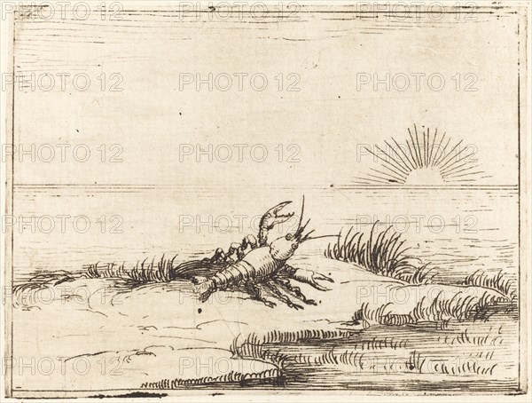 Crayfish Looking at the Sun, 1628.