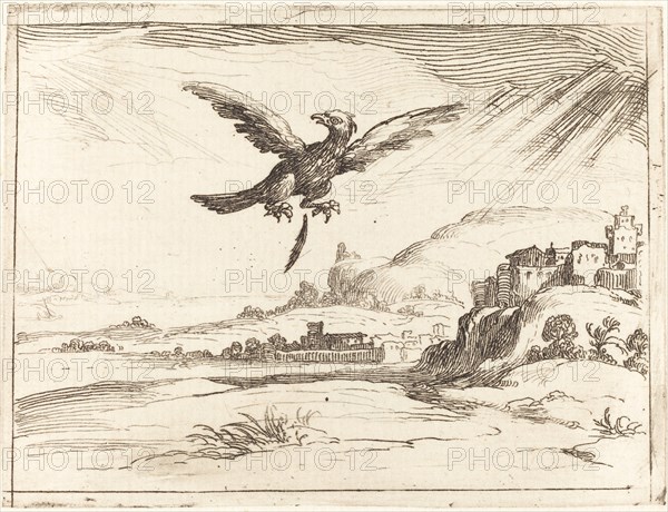 Eagle Losing an Old Feather, 1628.