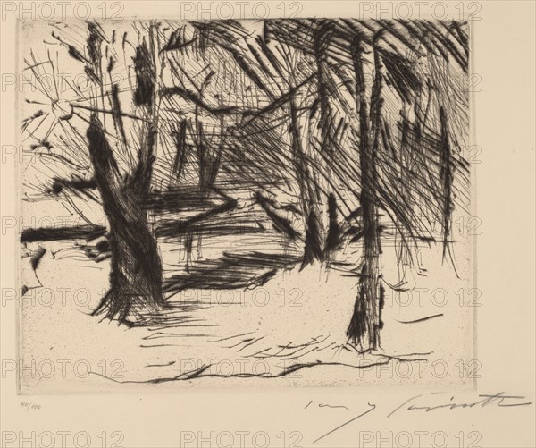Bäume mit Sonne (Trees in the Sun), 1920-1921.