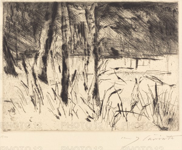 Tiergarten (Zoological Garden), 1922.