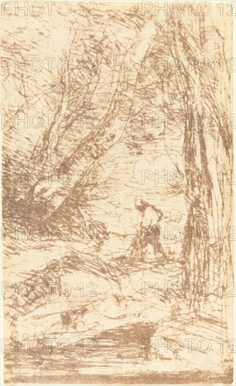The Woodcutter of Rembrandt (Le Bucheron de Rembrandt), 1853.