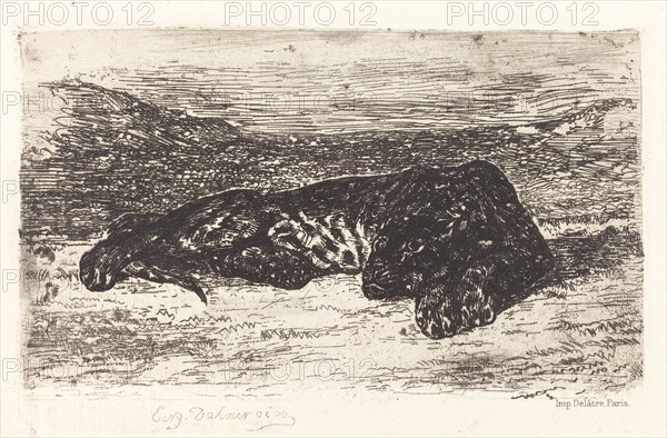 Tiger Sleeping in the Desert, c. 1830.