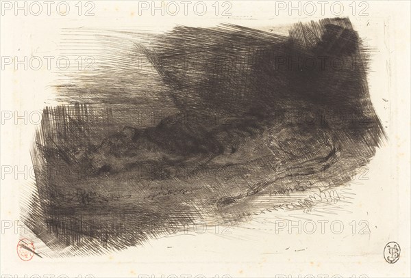 Tiger Sleeping at the Entrance to its Lair (Tigre couché à l'entrée de son antre), c. 1828/1833.