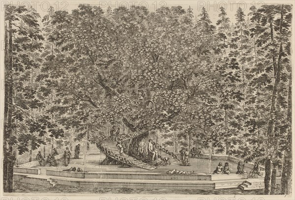 The Inhabited Tree, probably 1653.