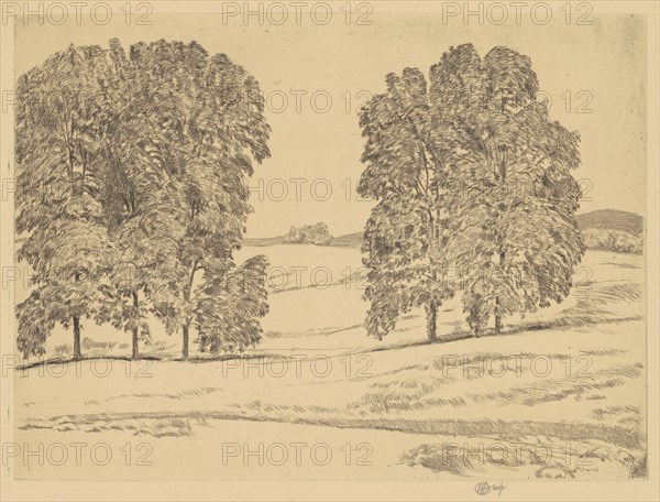 Hickories in a Hayfield, 1917.