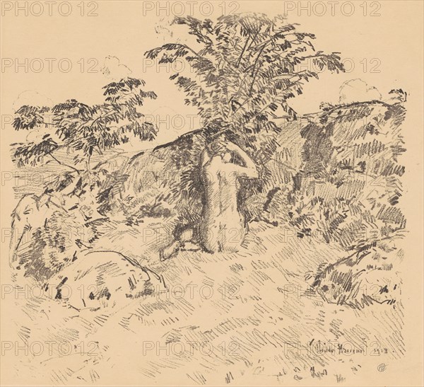 The Wild Cherry Tree, 1918.